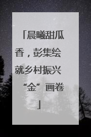 晨曦甜瓜香，彭集绘就乡村振兴“金”画卷
