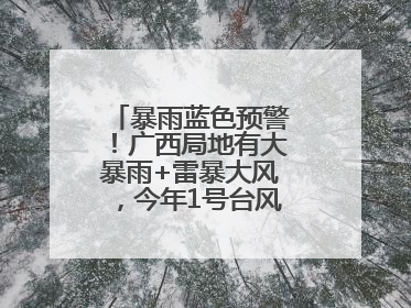 暴雨蓝色预警！广西局地有大暴雨+雷暴大风，今年1号台风最新消息……