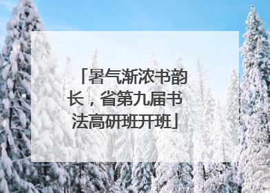 暑气渐浓书韵长，省第九届书法高研班开班
