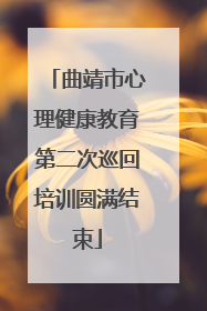 曲靖市心理健康教育第二次巡回培训圆满结束