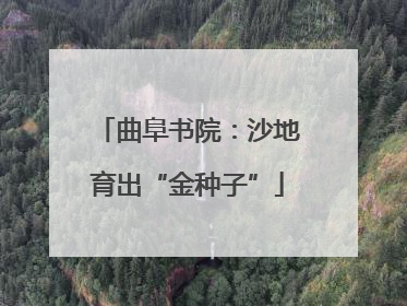 曲阜书院：沙地育出“金种子”