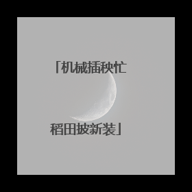 机械插秧忙 稻田披新装