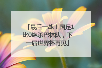 最后一战！国足1比0绝杀巴林队，下一届世界杯再见