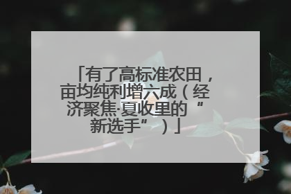 有了高标准农田，亩均纯利增六成（经济聚焦·夏收里的“新选手”）