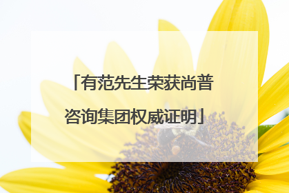 有范先生荣获尚普咨询集团权威证明