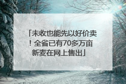 未收也能先以好价卖！全省已有70多万亩新麦在网上售出