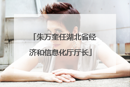朱万奎任湖北省经济和信息化厅厅长