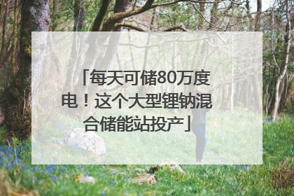 每天可储80万度电！这个大型锂钠混合储能站投产