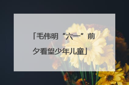 毛伟明“六一”前夕看望少年儿童