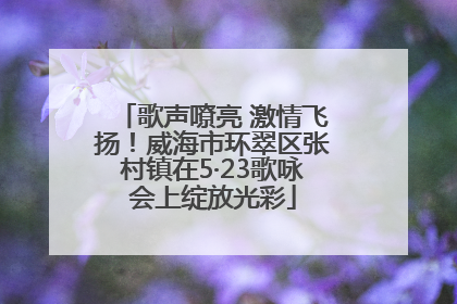 歌声嘹亮 激情飞扬！威海市环翠区张村镇在5·23歌咏会上绽放光彩