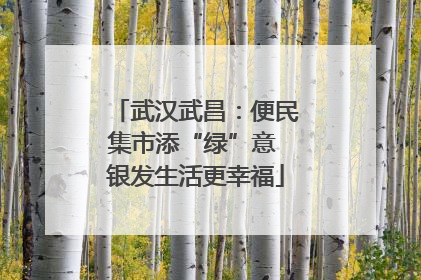 武汉武昌：便民集市添“绿”意 银发生活更幸福