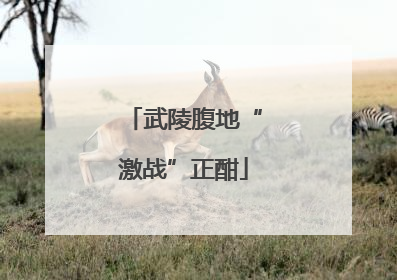 武陵腹地“激战”正酣