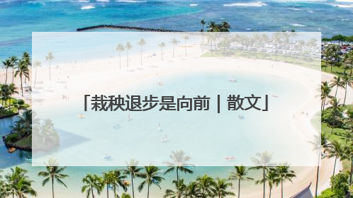 栽秧退步是向前｜散文