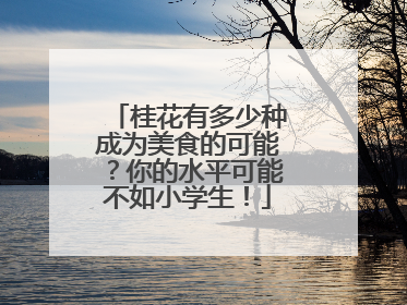 桂花有多少种成为美食的可能？你的水平可能不如小学生！