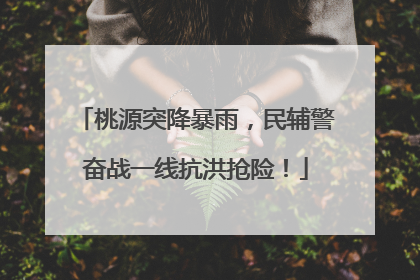 桃源突降暴雨，民辅警奋战一线抗洪抢险！