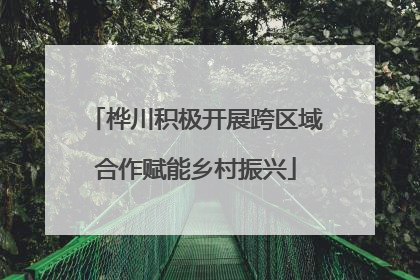 桦川积极开展跨区域合作赋能乡村振兴