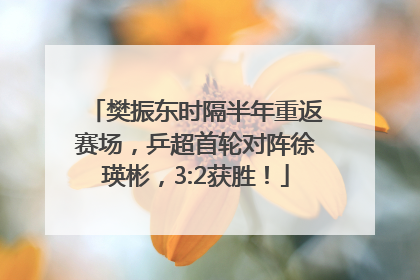 樊振东时隔半年重返赛场，乒超首轮对阵徐瑛彬，3:2获胜！