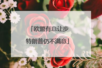 欧盟有意让步 特朗普仍不满意