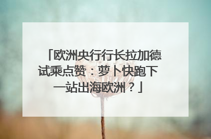 欧洲央行行长拉加德试乘点赞：萝卜快跑下一站出海欧洲？