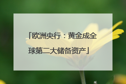 欧洲央行：黄金成全球第二大储备资产