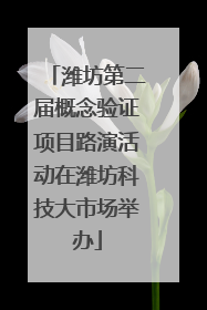 潍坊第二届概念验证项目路演活动在潍坊科技大市场举办