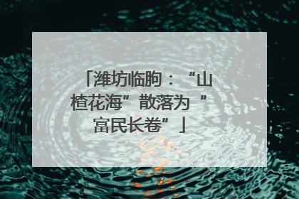 潍坊临朐：“山楂花海”散落为“富民长卷”
