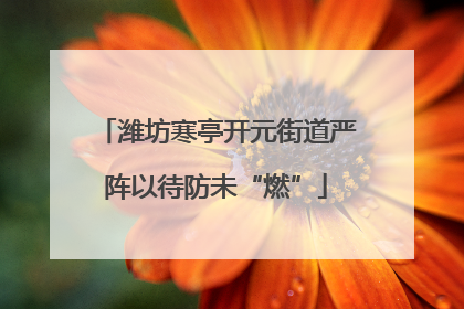 潍坊寒亭开元街道严阵以待防未“燃”