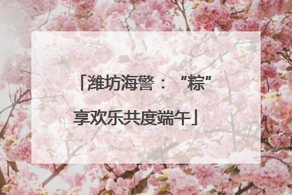 潍坊海警：“粽”享欢乐共度端午