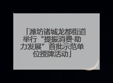 潍坊诸城龙都街道举行“提振消费·助力发展”首批示范单位授牌活动