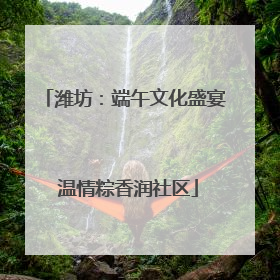 潍坊：端午文化盛宴 温情粽香润社区