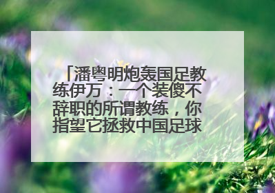 潘粤明炮轰国足教练伊万：一个装傻不辞职的所谓教练，你指望它拯救中国足球！此前曾多次发文评价国足