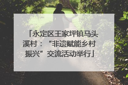 永定区王家坪镇马头溪村：“非遗赋能乡村振兴”交流活动举行