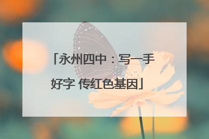 永州四中：写一手好字 传红色基因