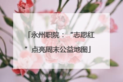 永州职院：“志愿红”点亮周末公益地图