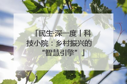 民生·深一度丨科技小院：乡村振兴的“智慧引擎”