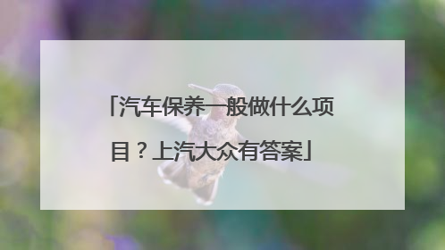 汽车保养一般做什么项目？上汽大众有答案