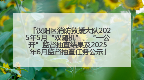 汉阳区消防救援大队2025年5月“双随机”、“一公开”监督抽查结果及2025年6月监督抽查任务公示