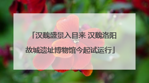 汉魏盛景入目来 汉魏洛阳故城遗址博物馆今起试运行
