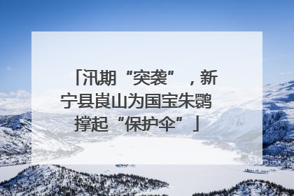汛期“突袭”，新宁县崀山为国宝朱鹮撑起“保护伞”