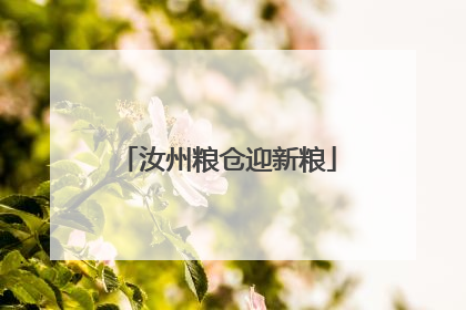 汝州粮仓迎新粮