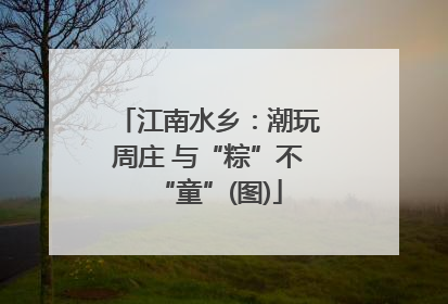 江南水乡：潮玩周庄 与“粽”不“童”(图)