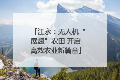 江永：无人机“展翅”农田 开启高效农业新篇章