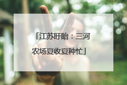 江苏盱眙：三河农场夏收夏种忙