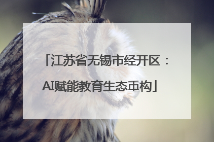 江苏省无锡市经开区：AI赋能教育生态重构