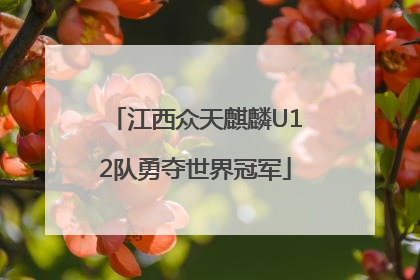 江西众天麒麟U12队勇夺世界冠军