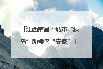 江西南昌：城市“绿岛”助候鸟“安家”