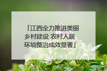 江西全力推进美丽乡村建设 农村人居环境整治成效显著