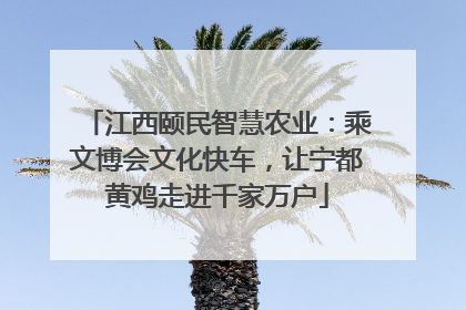 江西颐民智慧农业：乘文博会文化快车，让宁都黄鸡走进千家万户