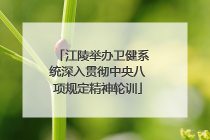 江陵举办卫健系统深入贯彻中央八项规定精神轮训