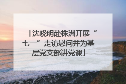 沈晓明赴株洲开展“七一”走访慰问并为基层党支部讲党课